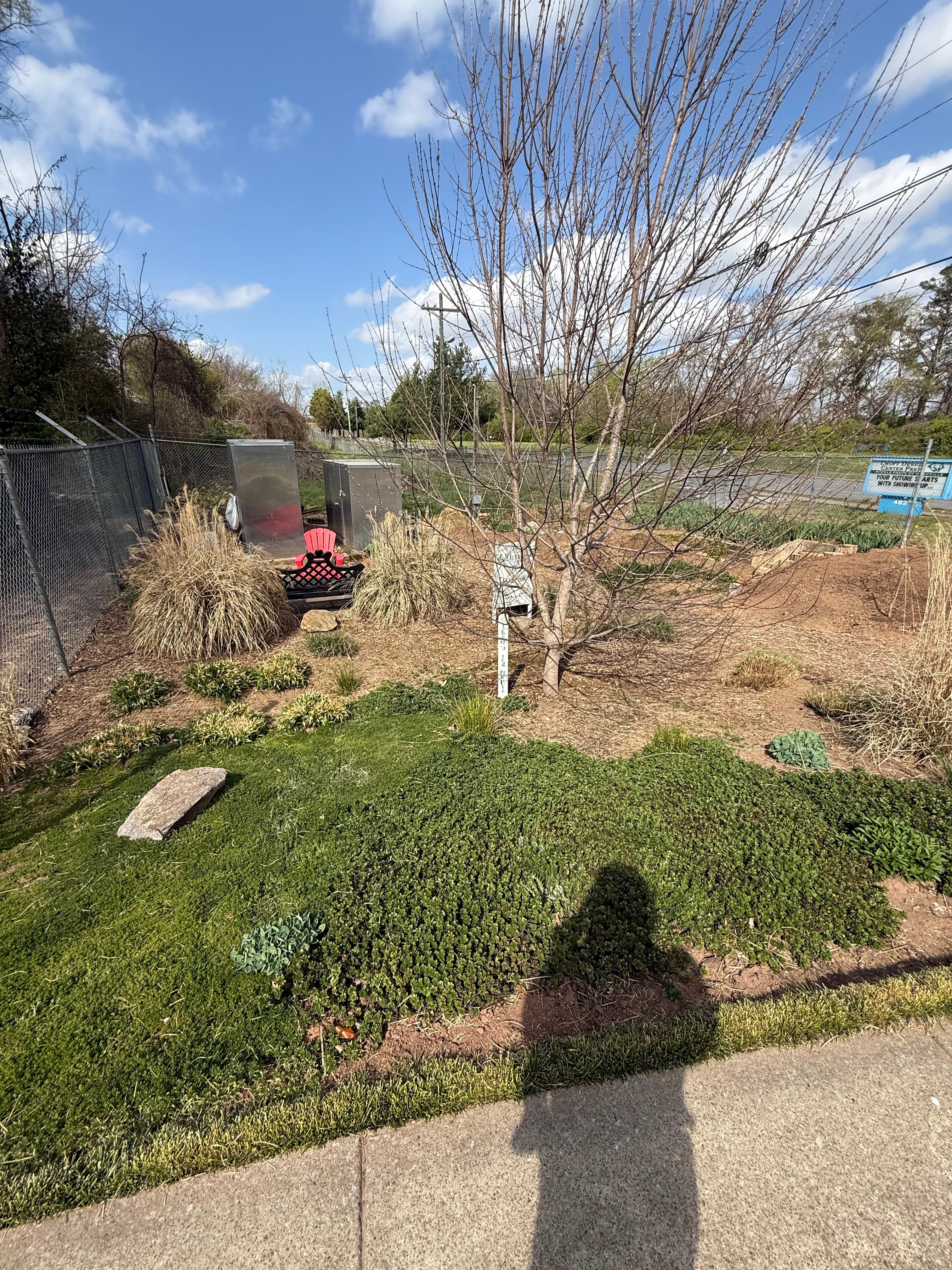 COVID Park community garden on Elysian Fields Road